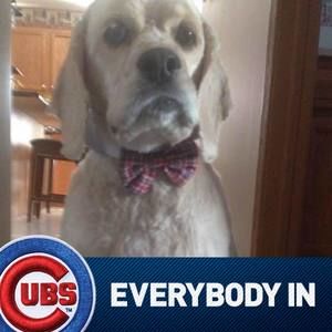 Meet your Posher, Jeannie